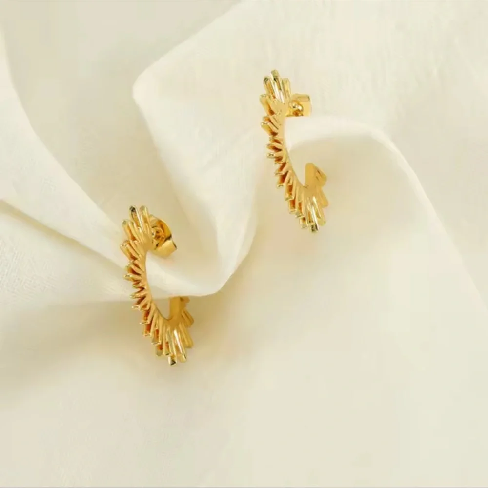 Sunburst Hoop Earrings 18K Gold
Tarnish Resistant Stainless Steel - Picture 6 of 7